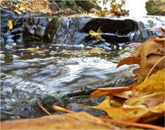 网络手机号免费版